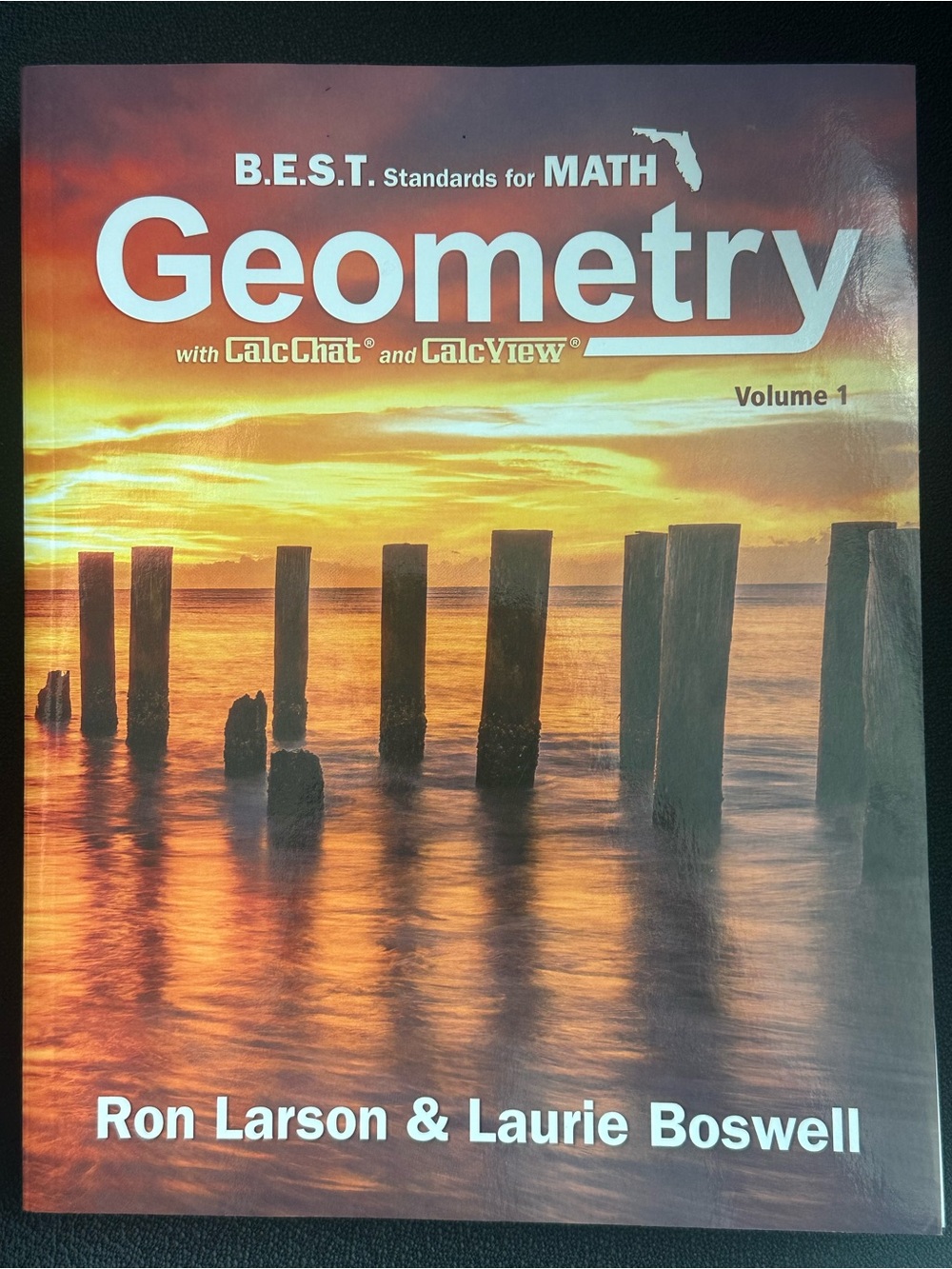 B.E.S.T. Geometry math Textbook by Ron Larson & Laurie Boswell lk new workbook